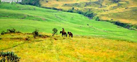Reiter in Lesotho