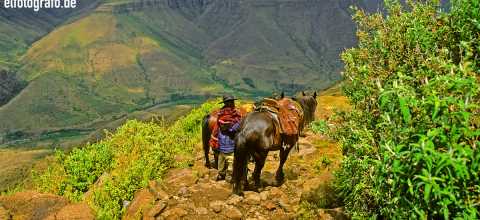Reiter in Lesotho